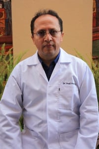 Dr. Fredi Portilla Farfán, Ph.D.